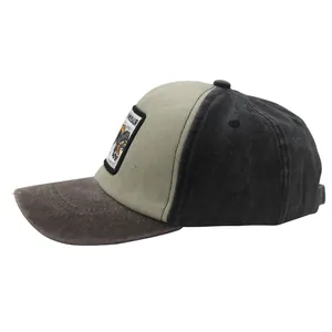 Detail of color-blocked dinosaur baseball cap showing premium washed canvas and embroidery