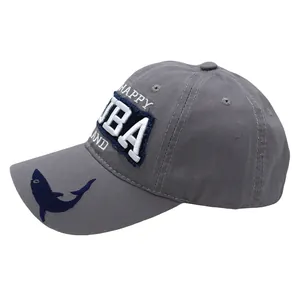 Detailed embroidery of ARUBA letters and blue shark silhouette on grey cotton baseball cap