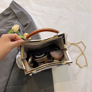 Retro frame handbag with resin handle and chain strap showing internal storage space