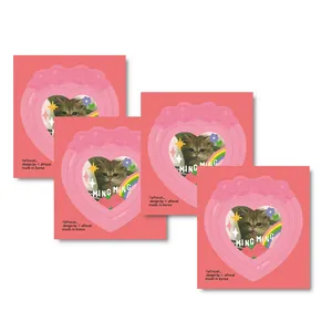 Detail of pink heart-shaped photo frame stickers with cute cat designs and floral patterns