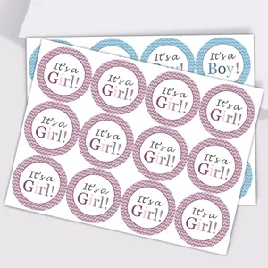 Autocollants Baby Shower It's a Boy et It's a Girl rose et bleu pour cadeaux