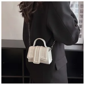 Detail of white mini crossbody bag with crocodile texture and metal chain strap