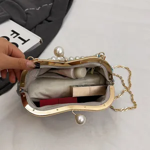Ethnic embroidery handbag with gold pearl clasp and chain strap on white background