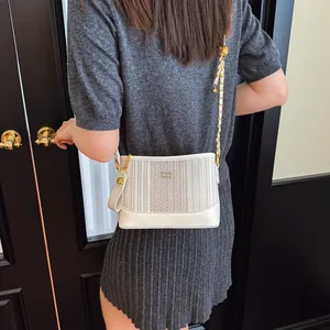 Minimalist beige tote bag with vertical stripes, gold chain strap, and logo detail