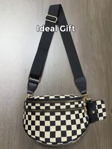 Macro view of checkered canvas crossbody bag with gold hardware and small coin purse