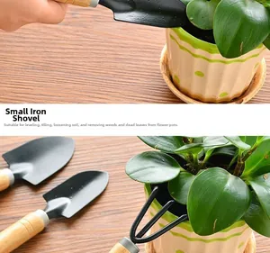 Close-up of small garden rake for loosening soil in indoor succulent bonsai pots