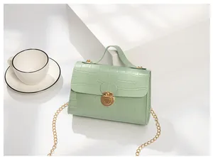 Close-up of light green crocodile embossed mini bag with gold chain and metal lock