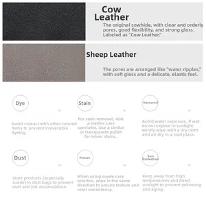 Detail of cattle and sheep leather textures with professional care and maintenance icons