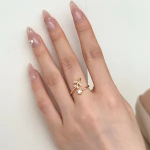 Detail van s925 zilveren vliegtuigring met zirkoon en ster aan de vinger