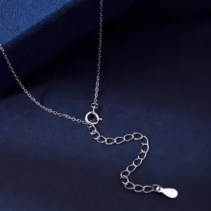 Détail macro du fermoir mousqueton en argent sterling S925 et de la chaîne d'extension