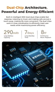 Detalle de arquitectura de doble chip con batería de 290mAh y chip JL7018F6 para gafas