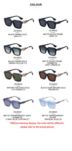 Comparison of square frame sunglasses ZS-98503 in eight various color combinations