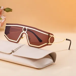 Occhiali da sole punk monopezzo marroni con montatura in oro e custodia in pelle