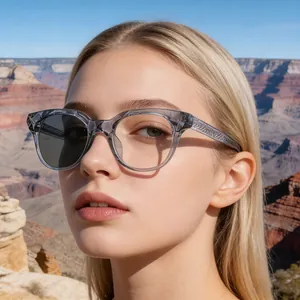 Detail einer grauen ovalen Sonnenbrille mit geprägten Federmustern an den Seitenbügeln
