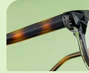 Gros plan détaillé des branches écaillées et charnières polygonales sur lunettes ovales