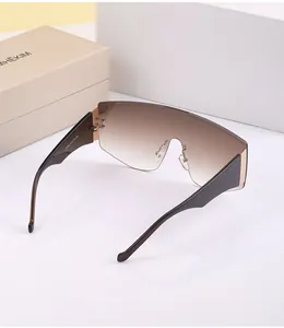Close-up of black sunglass temples with gold metal accents and model specifications