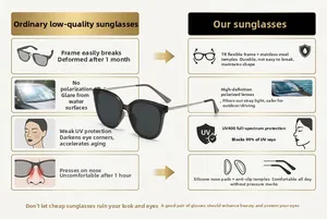 Détails de lunettes de soleil polarisées avec monture TR et branches en acier