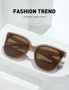 Detail of transparent tea-colored oversized frames with silver rivet accents and tinted lenses