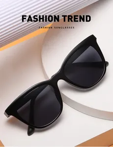 Detailed view of the sunglasses' inner temple showing model B1229 and size parameters