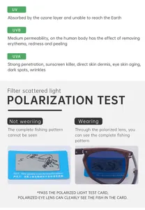 Detailansicht der polarisierten Gläser mit UV400-Schutz und Rahmen in Holzoptik