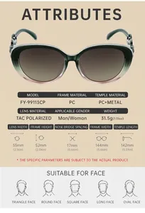 Detailed size chart and specifications for polarized cat-eye sunglasses model FY-99113CP