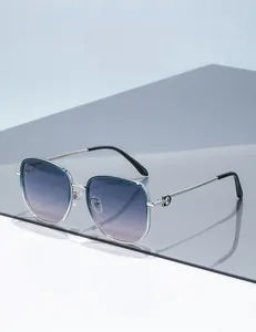Détails des lunettes de soleil polarisées avec monture argentée et verres dégradés
