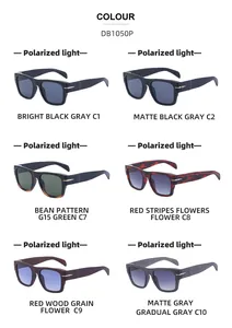 Detailed collection of polarized sunglasses in six colors with model DB1050P markers