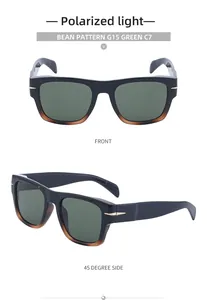 Polarized sunglasses with tortoise bean pattern frames and G15 green lenses shown in dual views