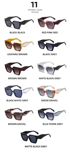 Grid view of DG2246 cat-eye sunglasses in 11 optional colors and geometric frames