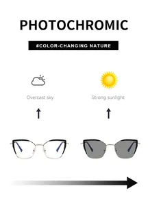 Cat eye photochromic glasses detail showing lens color change in sun and overcast