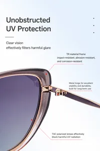 Detail of cat eye sunglasses showing metal hinges, TR frame, and TAC polarized lenses
