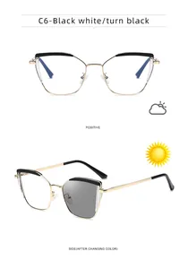 Detail of C6 cat eye photochromic lenses changing from clear to dark grey in sunlight