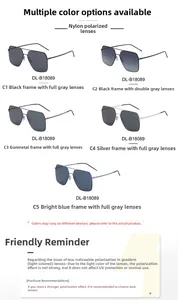 Détail de cinq paires de lunettes de soleil polarisées en nylon avec branches en métal variées
