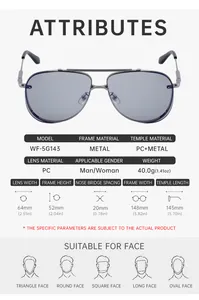 Detailed chart showing pilot sunglasses dimensions 148mm width and grey lenses