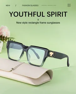 Nahaufnahme der schwarzen rechteckigen Sonnenbrille mit blauen Gläsern und Lederetui