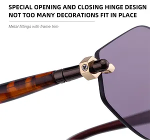 Macro view of rimless sunglasses hinge with tortoise pattern and hex nut hardware