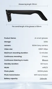 Detalles técnicos de gafas inteligentes AI con cámara Sony 800W y memoria de 32GB