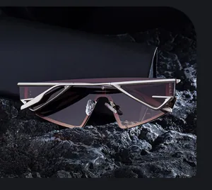 Detail of champagne gold geometric hollow metal hinge on trendy cat eye sunglasses