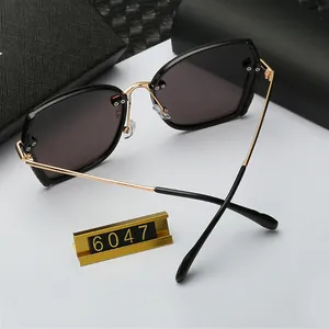 Close-up of black oversized polarized sunglasses with gold metal temples and case