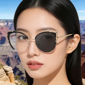 Detailaufnahme der Cat-Eye-Sonnenbrille mit photochromen Gläsern und goldener Metallfassung