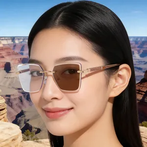 Detail of rimless photochromic sunglasses with sparkling gold temples and metal bridge
