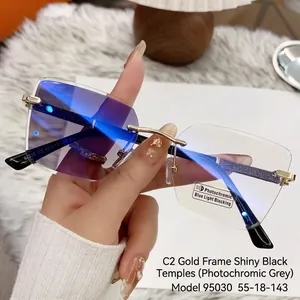 Detail showing gold metal hinges and 55-18-143 size specs on rimless photochromic glasses