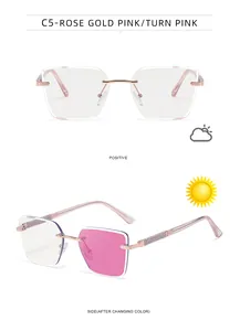 Detail of rimless photochromic sunglasses with rose gold temples and C5 pink lenses