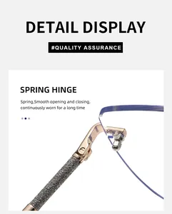 Detail view of cat eye sunglasses featuring metal spring hinges and glitter silver temples