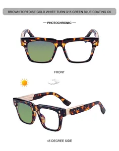 Detail of brown tortoise photochromic sunglasses with gold square frames and G15 lenses
