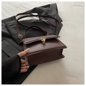 Detailansicht dunkelbraune Handtasche in Quadratform mit goldener Metallschließe