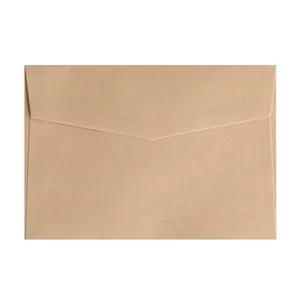 Standard brown kraft paper envelope with pointed flap and subtle fiber texture