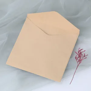 Square brown kraft paper envelope with insert flap shown from top view with dried flower
