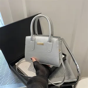 Silver crocodile pattern handbag with gold hardware displayed on a stylish gift box