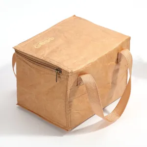 Insulated Tyvek lunch bag with zipper and handles for outdoor picnic food storage